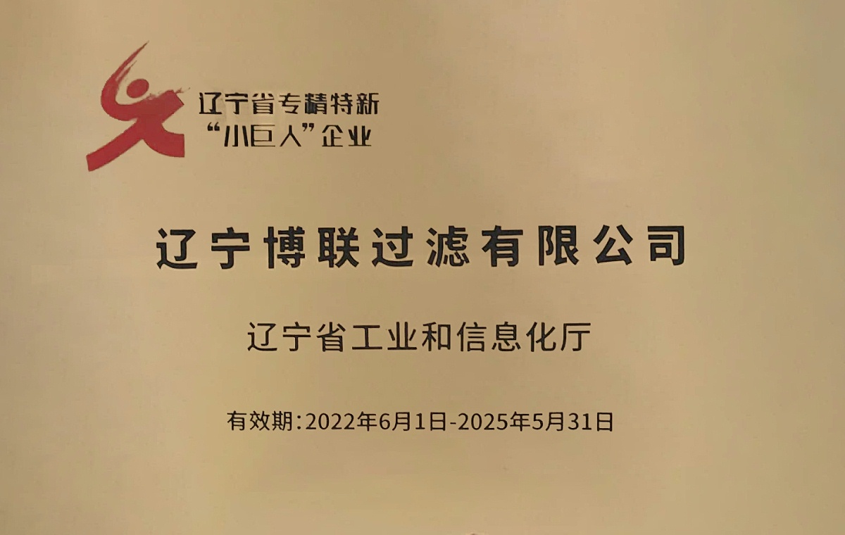 博聯(lián)：遼寧專精特新“小巨人”企業(yè)